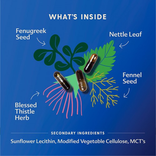 MotherLove More Milk Plus (60 Capsules / 120 Capsules) | Made in USA | Organic